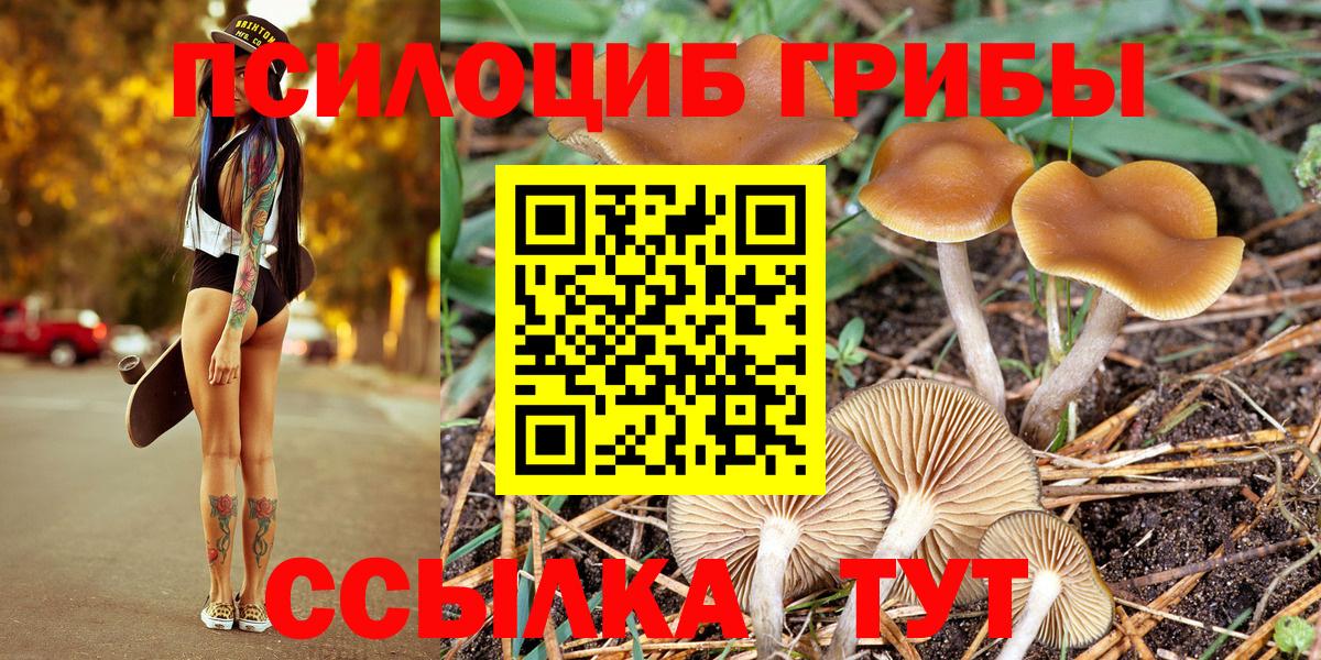 Галлюциногенные грибы Psilocybe  Псилоцибиновые грибы MAGIC MUSHROOMS  Орехово-Зуево  Вход с VPN 